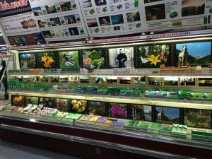 Kyoto Yodobashi Film Cooler August 2014