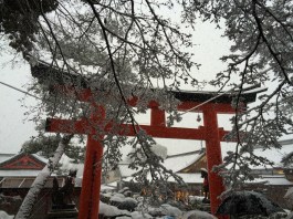 Snow and umbrellas at Fushimi Inari Shrine