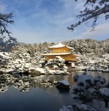 Kinkakuji in the snow