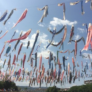 Koinobori at Tatsuki