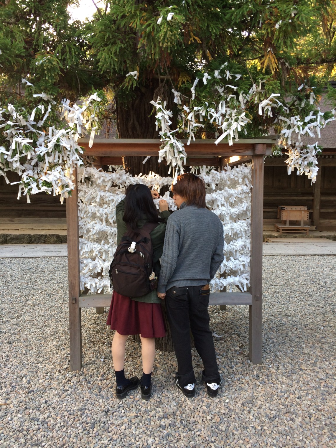 Fortune Tree Izumo Shrine 2