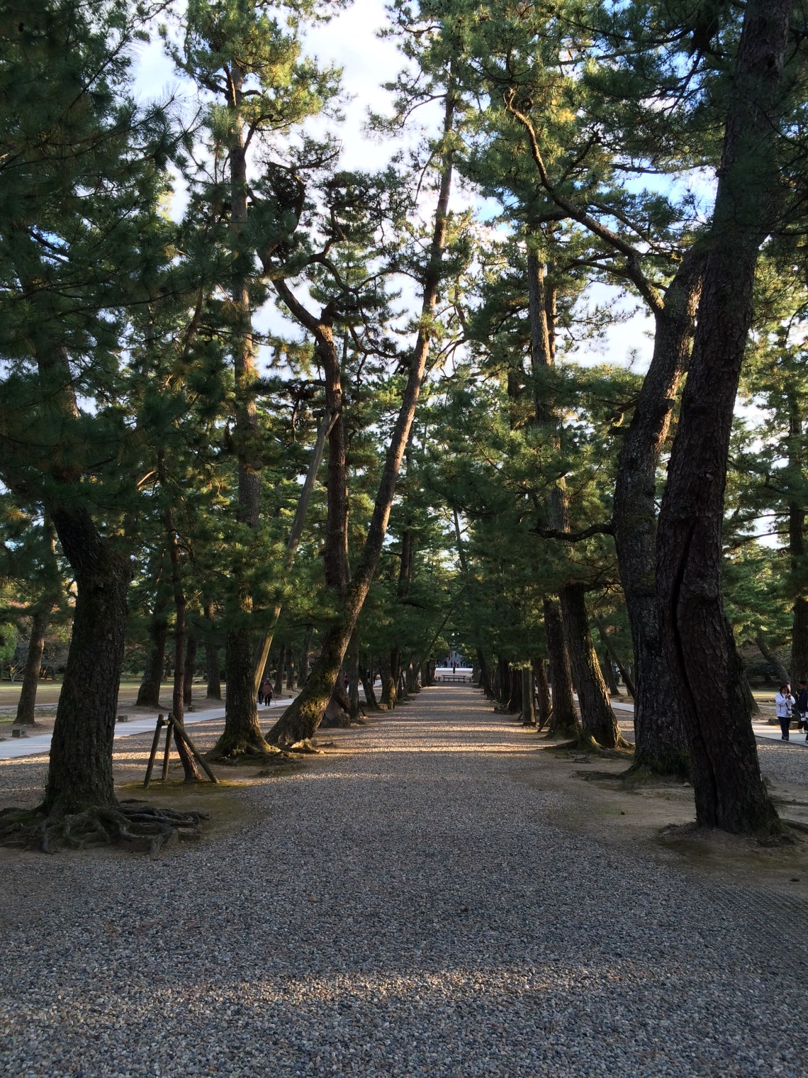 The Way of the Gods_Izumo Shrine